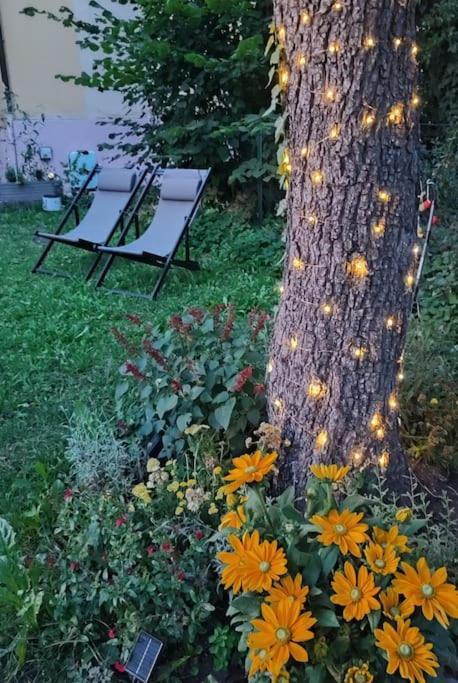 Stilvoll Und Gemuetlich - Wohnen Mit Flair Daire Albstadt Dış mekan fotoğraf